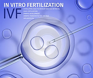 Professional In Vitro Fertilisation Process Banner