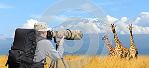 Professional wildlife photographer