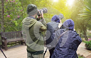 Professional wildlife photographer in blurred nature,Photographer takes a picture with professional camera from photo area,