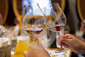 Professional wine tasting, sommelier course, looking at red dry wine in wine glass
