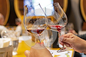 Professional wine tasting, sommelier course, looking at red dry wine in wine glass