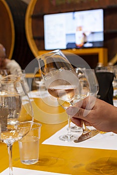 Professional wine tasting, sommelier course, looking at rose dry wine in wine glass