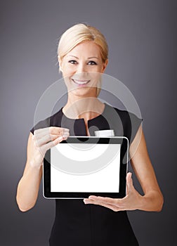 Professional women with digital tablet