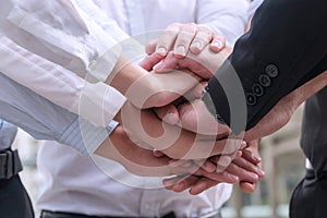 Professional work group business person join their hands connection job for successful. colleagues holding hands together