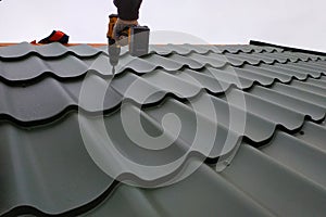 The professional worker works on installation of a roof of a roof by sheets of a metal tile and drills a screw with a drill