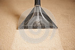 Professionally Cleaning Carpets