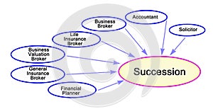 Professionals guiding successful Succession
