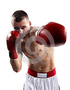 Professionl boxer is isolated on white