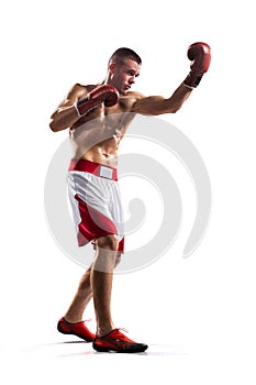 Professionl boxer is isolated on white