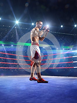 Professionl boxer is standing on the ring