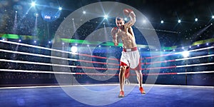 Professionl boxer is standing on the ring
