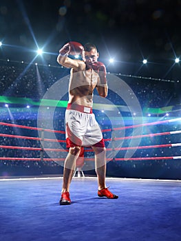 Professionl boxer is standing on the ring