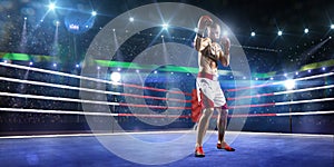 Professionl boxer is standing on the ring