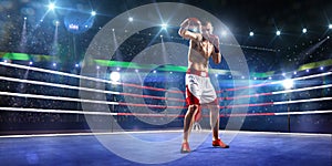 Professionl boxer is standing on the ring