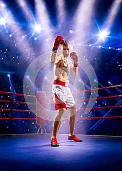 Professionl boxer is standing on the ring