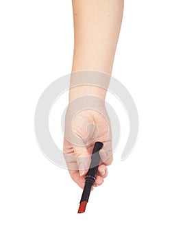 Professionnal make-up brush cosmetic