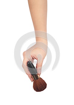 Professionnal make-up brush cosmetic