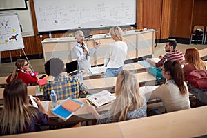 Professor explaining the lecture to the students