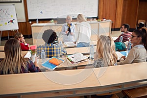 Professor explaining the lecture to students