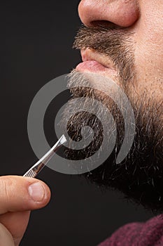 Profile of bearded man painfully pulling out gray hair from graying beard with tweezers, unpleasant emotions in