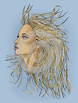 Profile of beautiful woman with waving hair.Popart style.