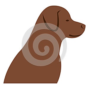 profile of a brown dog on clean white backdrop