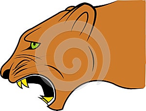 The profile of the head of an enraged puma