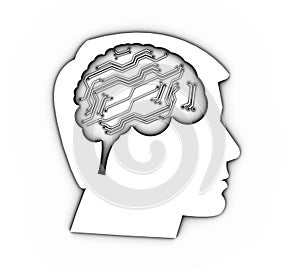 Profile of a human head with brain, 3d Illustration