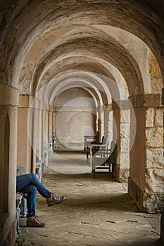 Profile of legs resting at Rousham, Oxfordshire, England