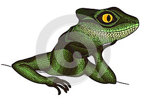 Profile Lizard. Hand drawn.