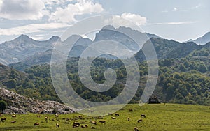 Profile of main peaks of Los Picos de Europa mountains in the area of Covadonga lakes Asturias, Spain