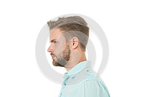 Profile of man with beard on unshaven face isolated on white background. Handsome man in blue shirt, fashion. Bearded
