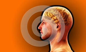 Profil človeka mozog 8 