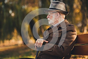 Profile photo of retired old white hair gloomy grandpa street central park sit bench hold walk cane stick look