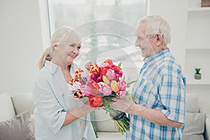 Profile photo of two adorable aged people cute pair anniversary holiday surprise big red tulips bunch bright flat