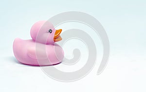 The profile of a pink rubber duck with an orange beak isolated on a white background