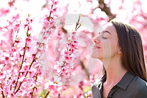 Woman smelling scented flowers in a field