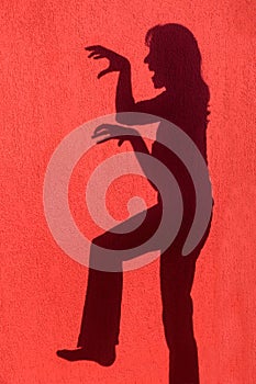 Profile shadow of woman on red wall