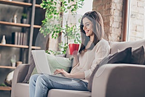 Profile side photo of happy smart woman sit sofa drink coffee mug use laptop wear sweater jeans inside house indoors