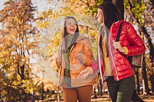 Profile side photo of positive two girls best fellows enjoy rest relax autumn park walk go tell say college news wear