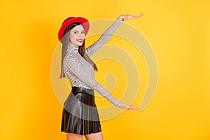 Profile side photo of stunning happy woman hold hands empty space size object isolated on yellow color background