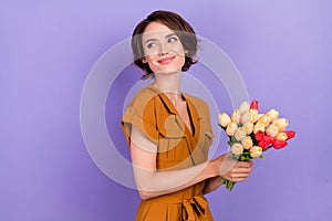 Profile side photo of young woman happy positive smile dream hold tulips holiday  over purple color background