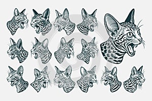 Profile side view of egyptian mau cat head illustration design set