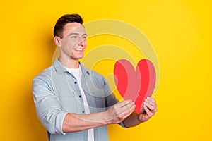 Profile side view portrait of attractive amorous cheerful guy giving heart isolated over bright yellow color background