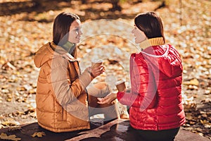 Profile side view portrait of two nice attractive charming cheerful cheery best buddy fellow girlfriends spending free