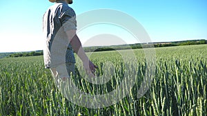 Profile of unrecognizable young farmer walking through the cereal field and touching green wheat ears on summer day
