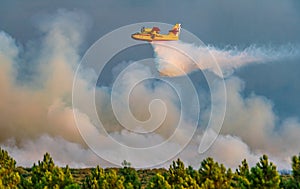 Profile view of hydroplane dumping water over huge fire