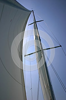 Profile View of Large Mast
