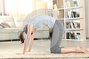 Profile of a woman doing yoga cat pose at home