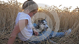 Profile of young girl in sunglasses sitting among golden ripe spikelets at meadow and stroking her husky dog at sunset